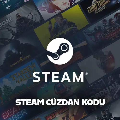 Steam USD